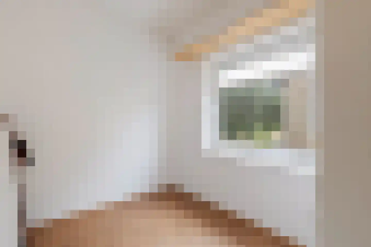 Beukenstraat 9 Maasbree thumbnail 34