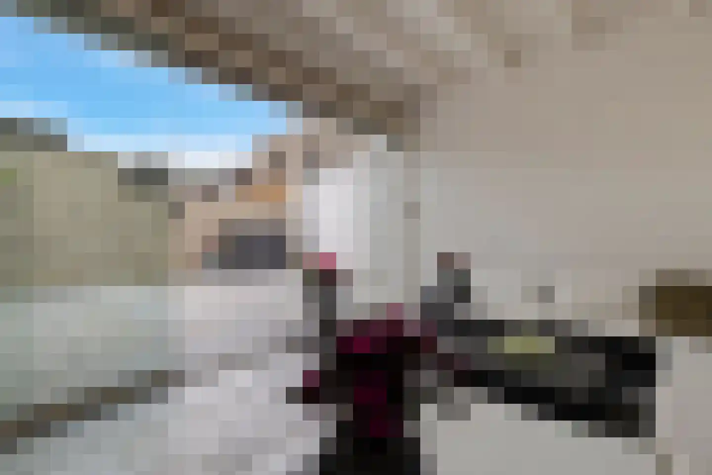 Beukenstraat 9 Maasbree thumbnail 43