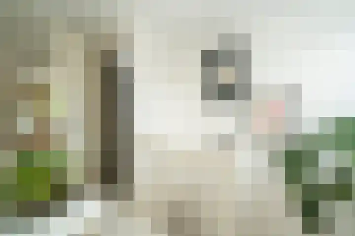 Beukenstraat 96 Tilburg thumbnail 41