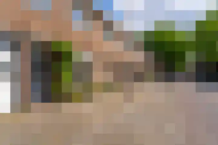 Beukenstraat 96 Tilburg thumbnail 8