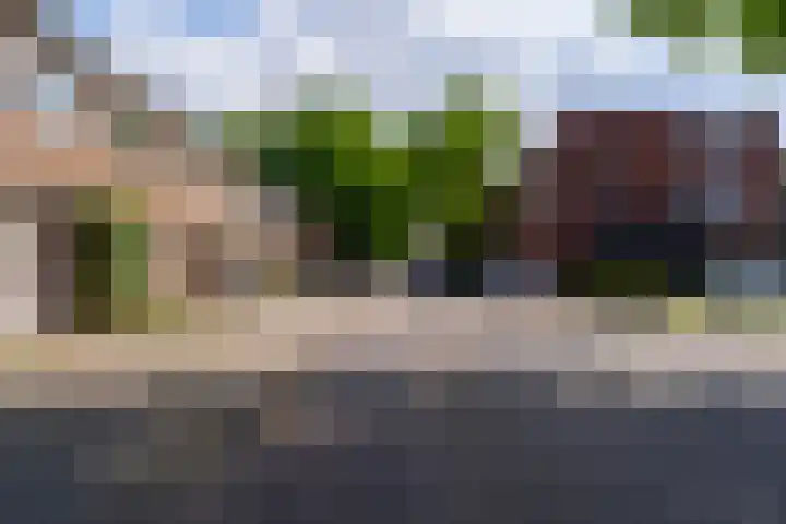Beukenstraat 96 Tilburg thumbnail 9