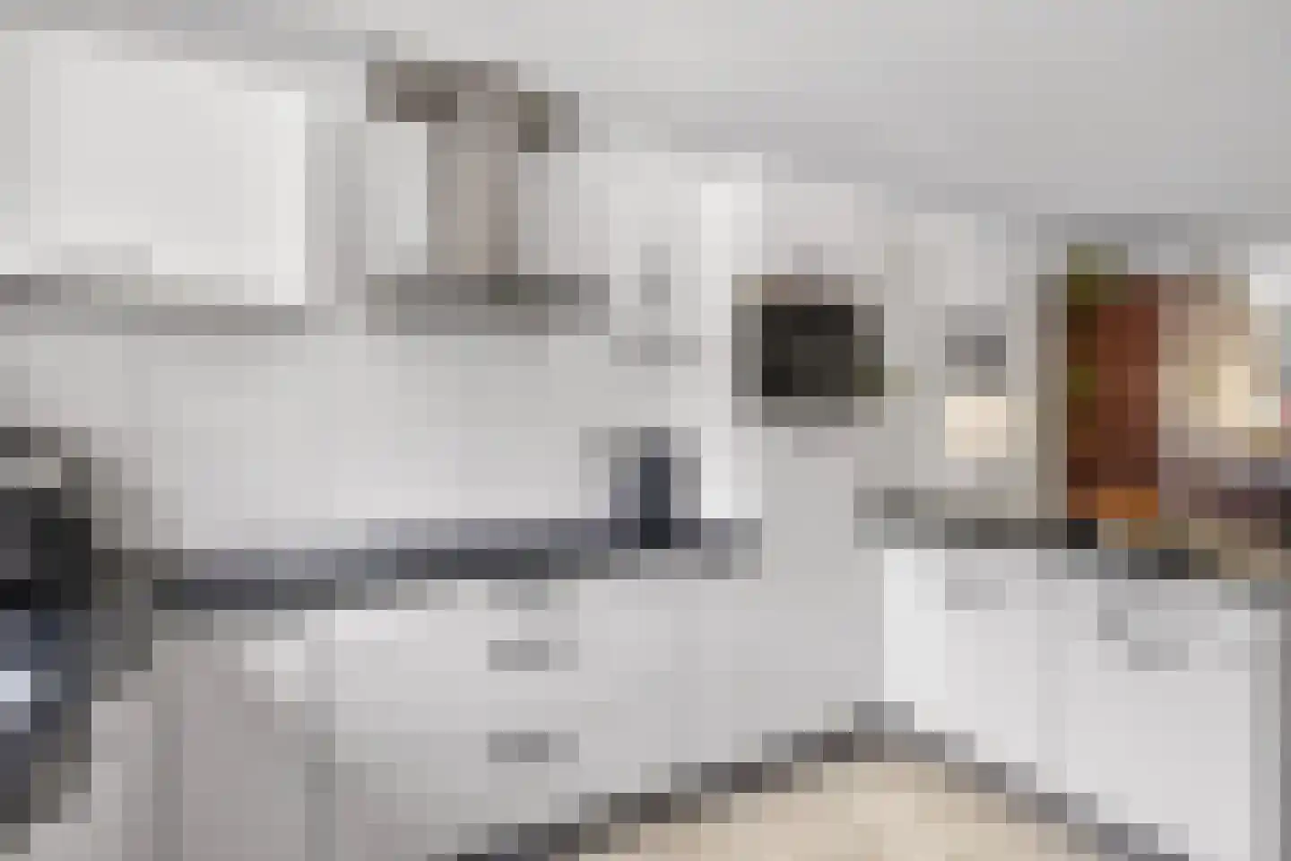 Beukenstuklaan 16 Veenendaal thumbnail 18