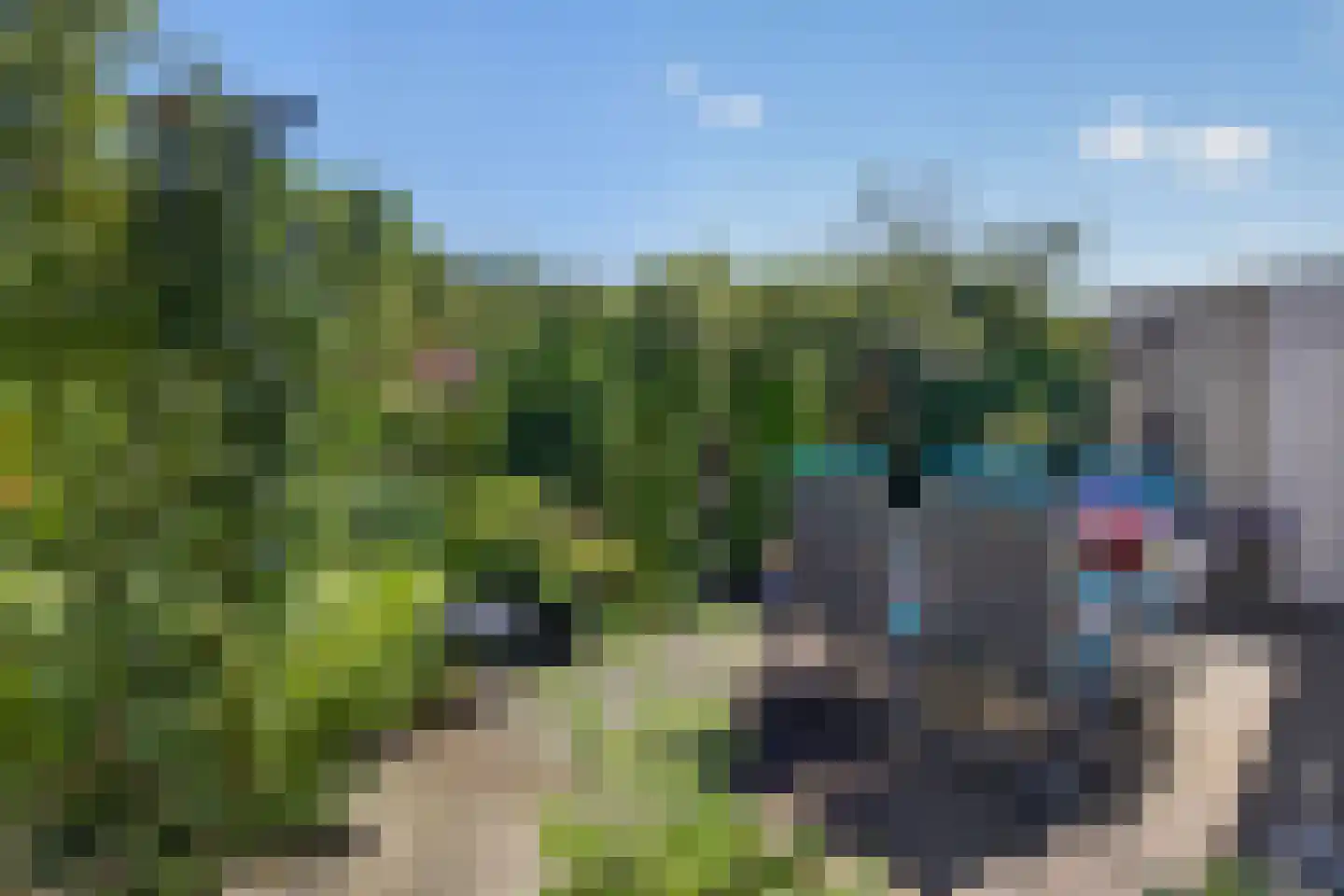 Beukenstuklaan 16 Veenendaal thumbnail 50