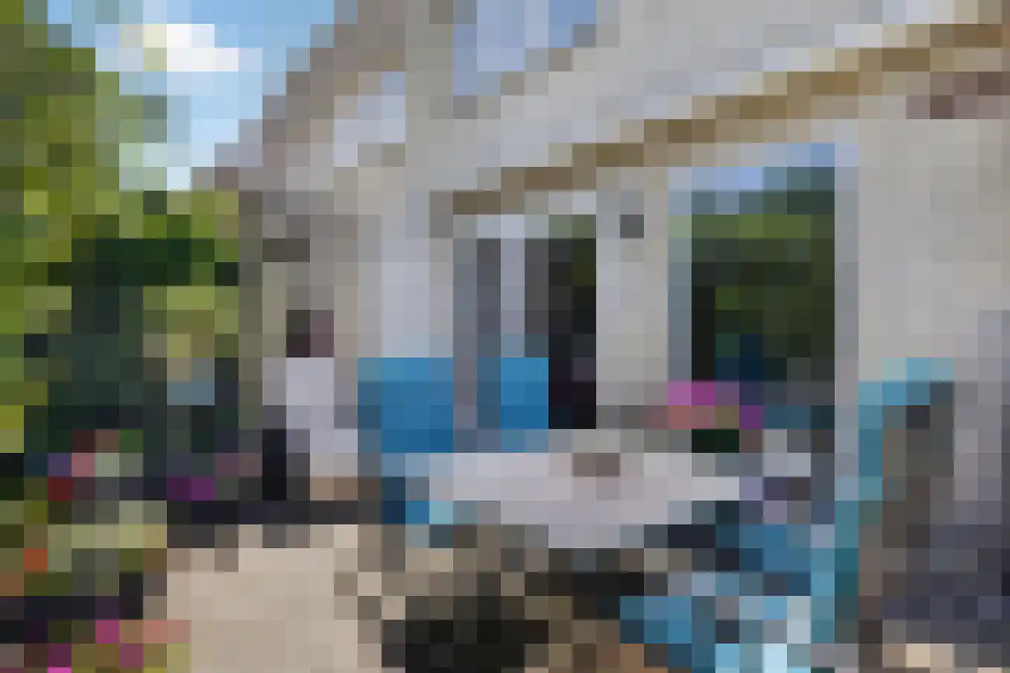 Beukenstuklaan 16 Veenendaal thumbnail 51