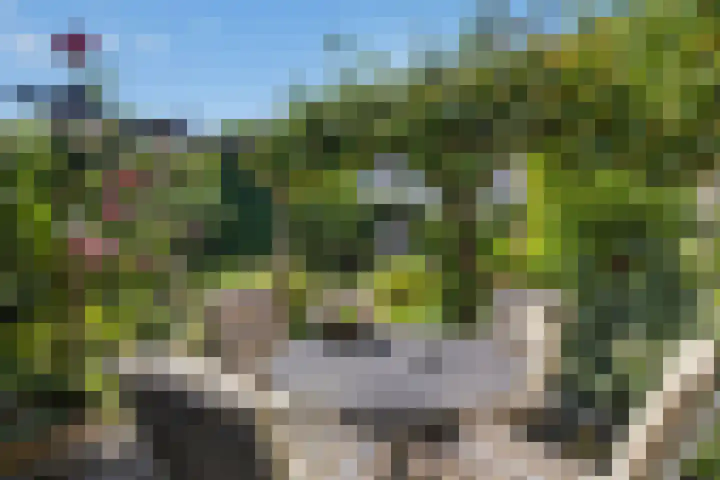 Beukenstuklaan 16 Veenendaal thumbnail 55
