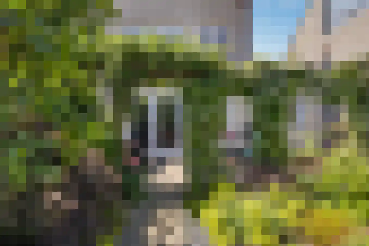 Beukenstuklaan 16 Veenendaal thumbnail 57