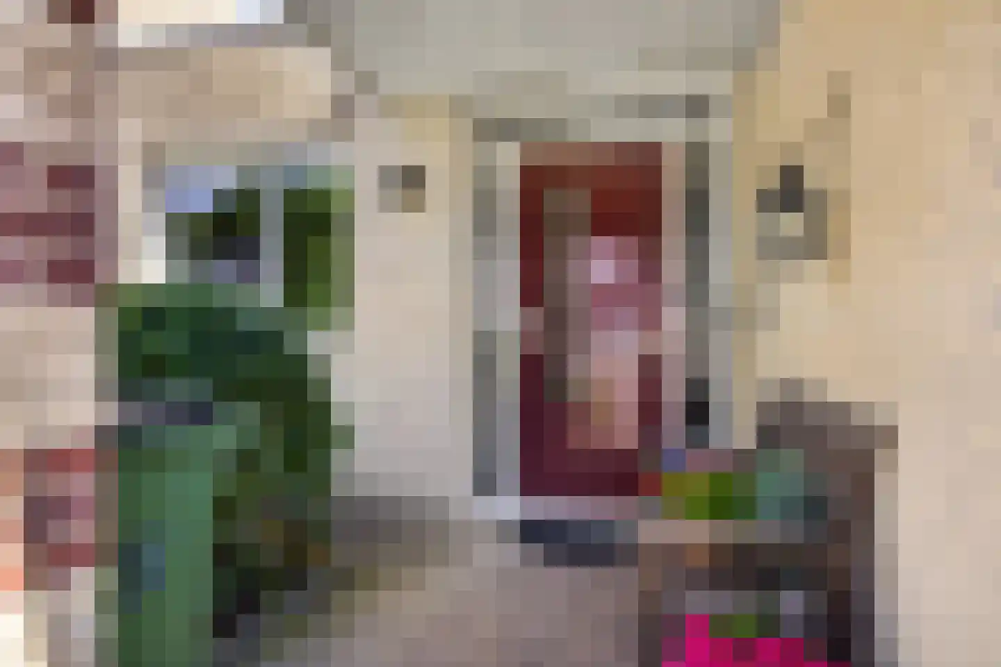 Beukenstuklaan 16 Veenendaal thumbnail 58