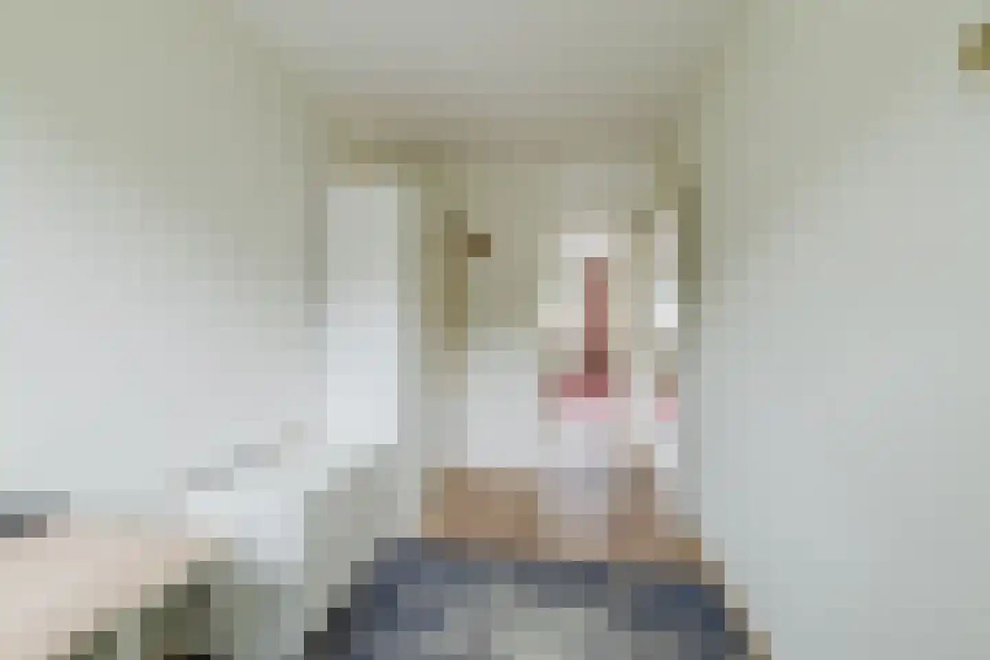 Beukenstuklaan 36 Veenendaal thumbnail 25
