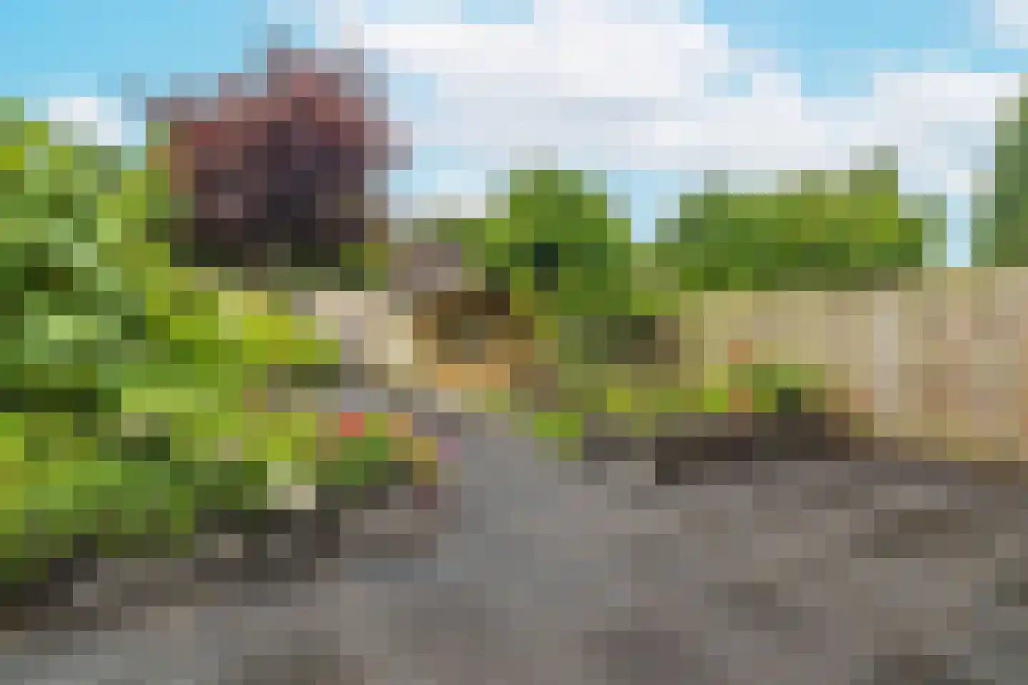 Beukenstuklaan 36 Veenendaal thumbnail 33