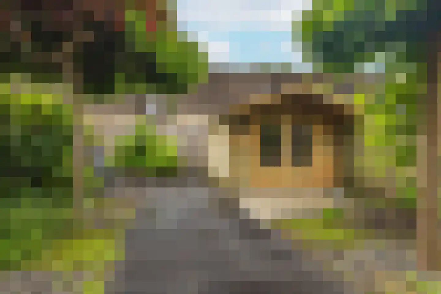 Beukenstuklaan 36 Veenendaal thumbnail 34