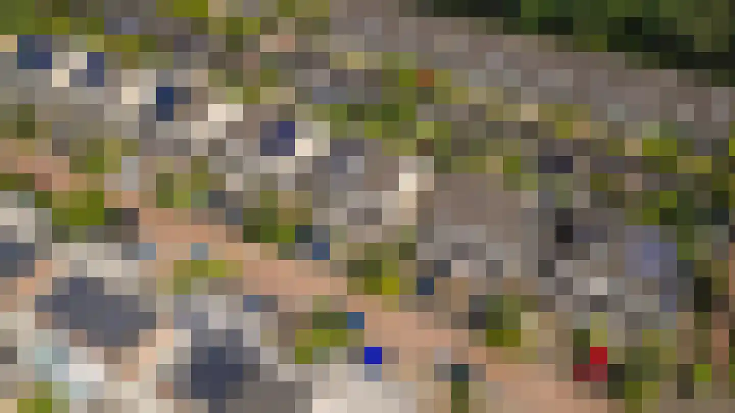 Beukenstuklaan 36 Veenendaal thumbnail 37