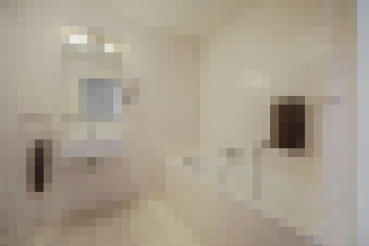 Beukenstuklaan 7 Veenendaal thumbnail 13