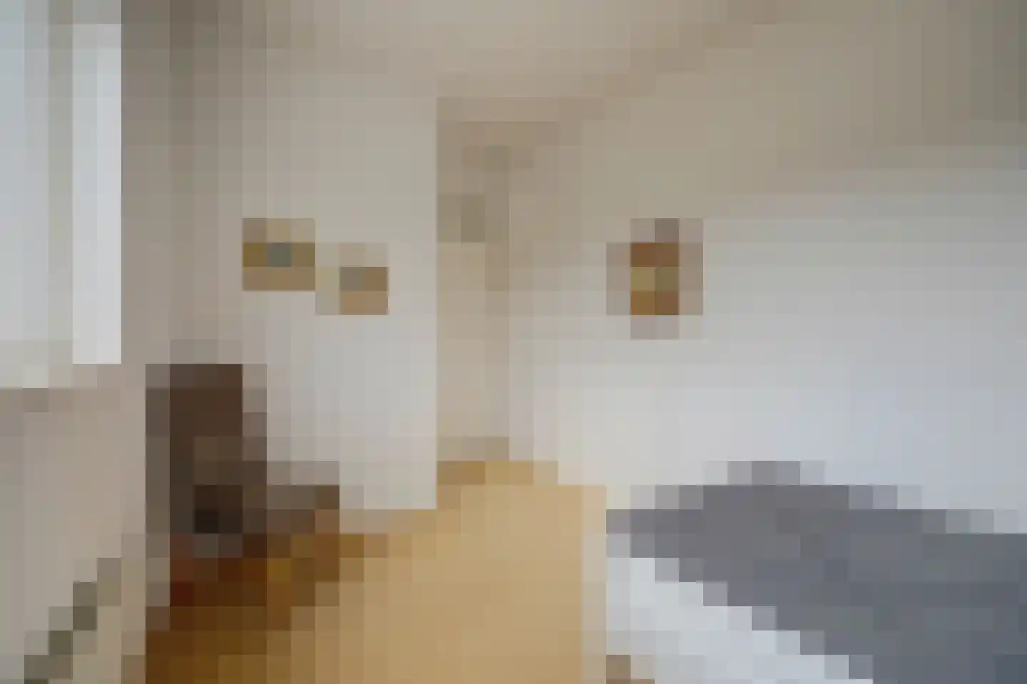 Beukenstuklaan 7 Veenendaal thumbnail 24