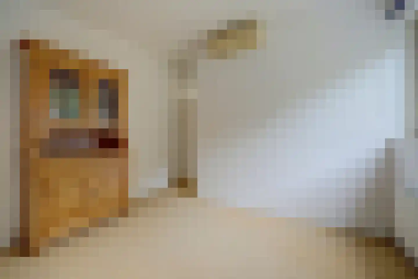 Beukenstuklaan 7 Veenendaal thumbnail 26
