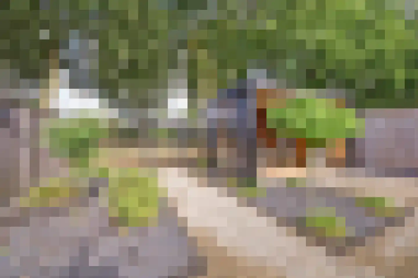 Beukenstuklaan 7 Veenendaal thumbnail 34