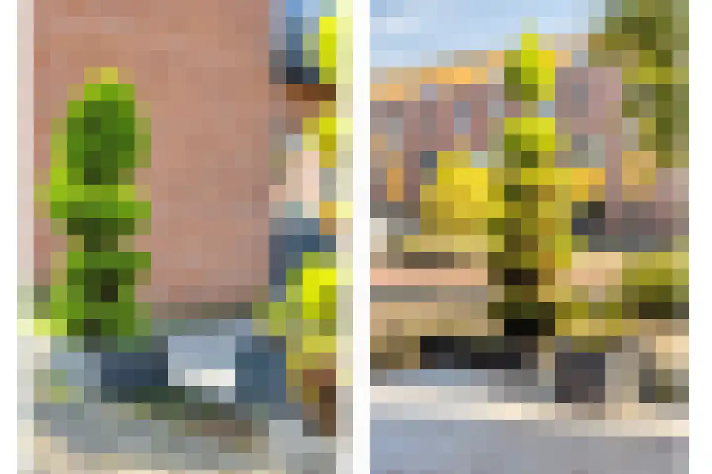 Beukenwede 7 Barendrecht thumbnail 36