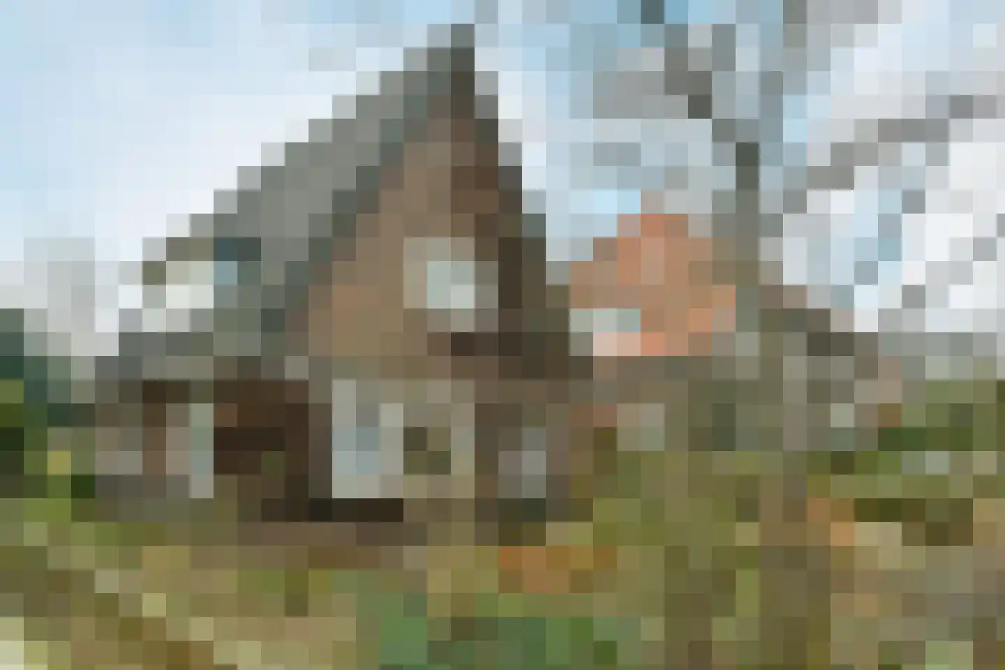 Beukenweg 11 Velp