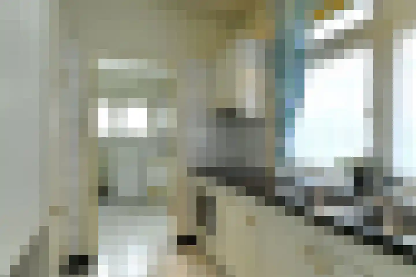 Beukenweg 11 Velp thumbnail 19