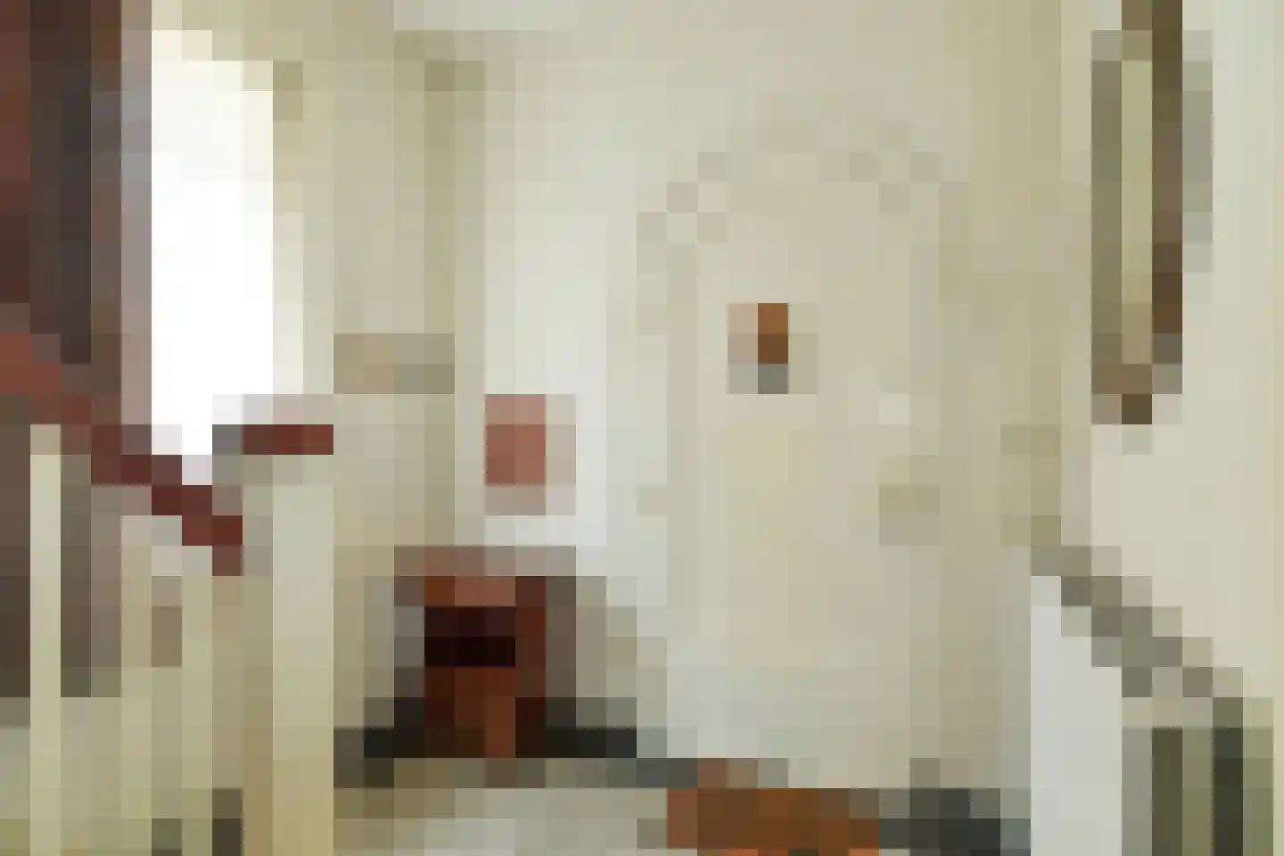 Beukenweg 11 Velp thumbnail 23