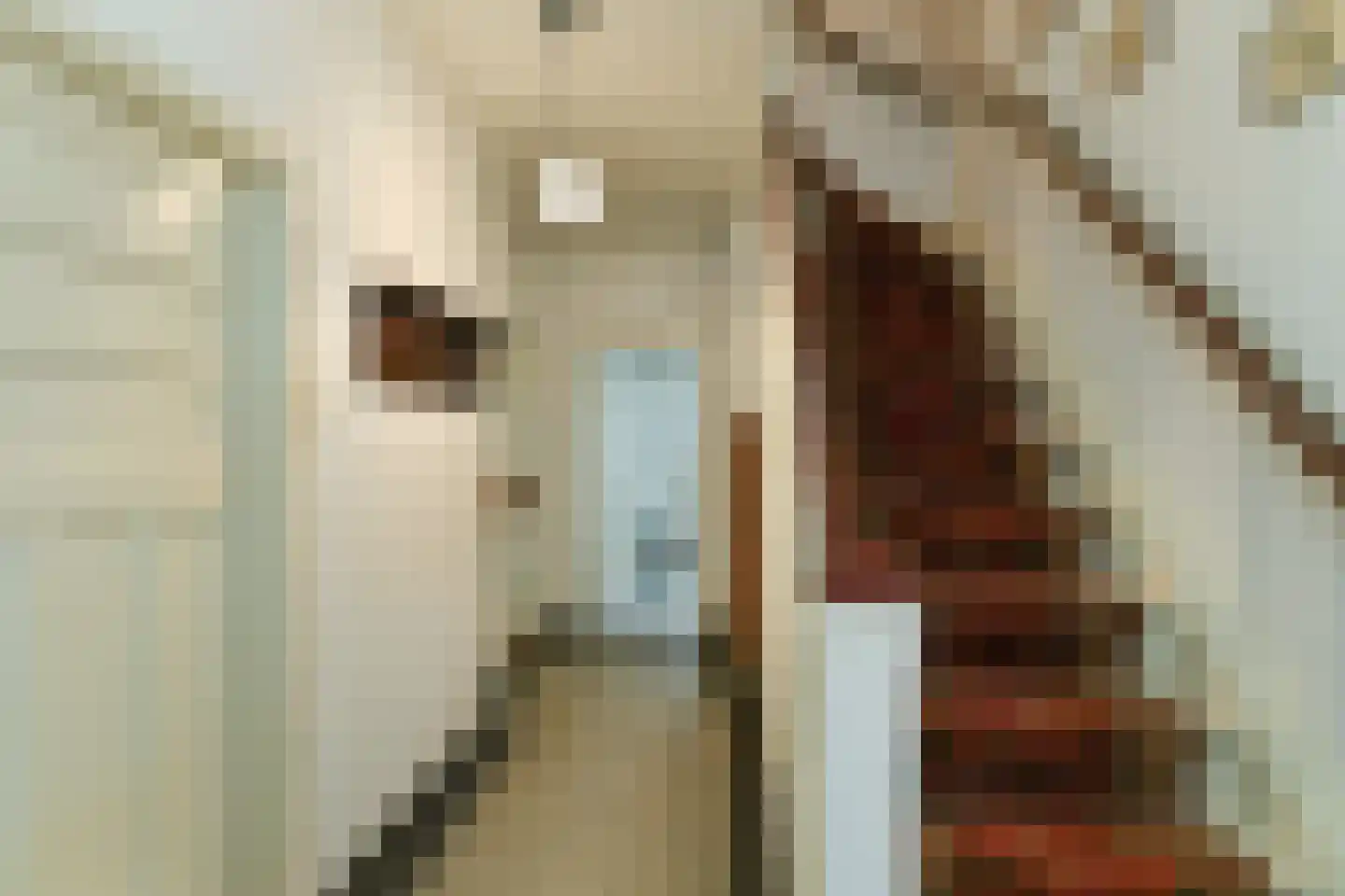 Beukenweg 11 Velp thumbnail 24