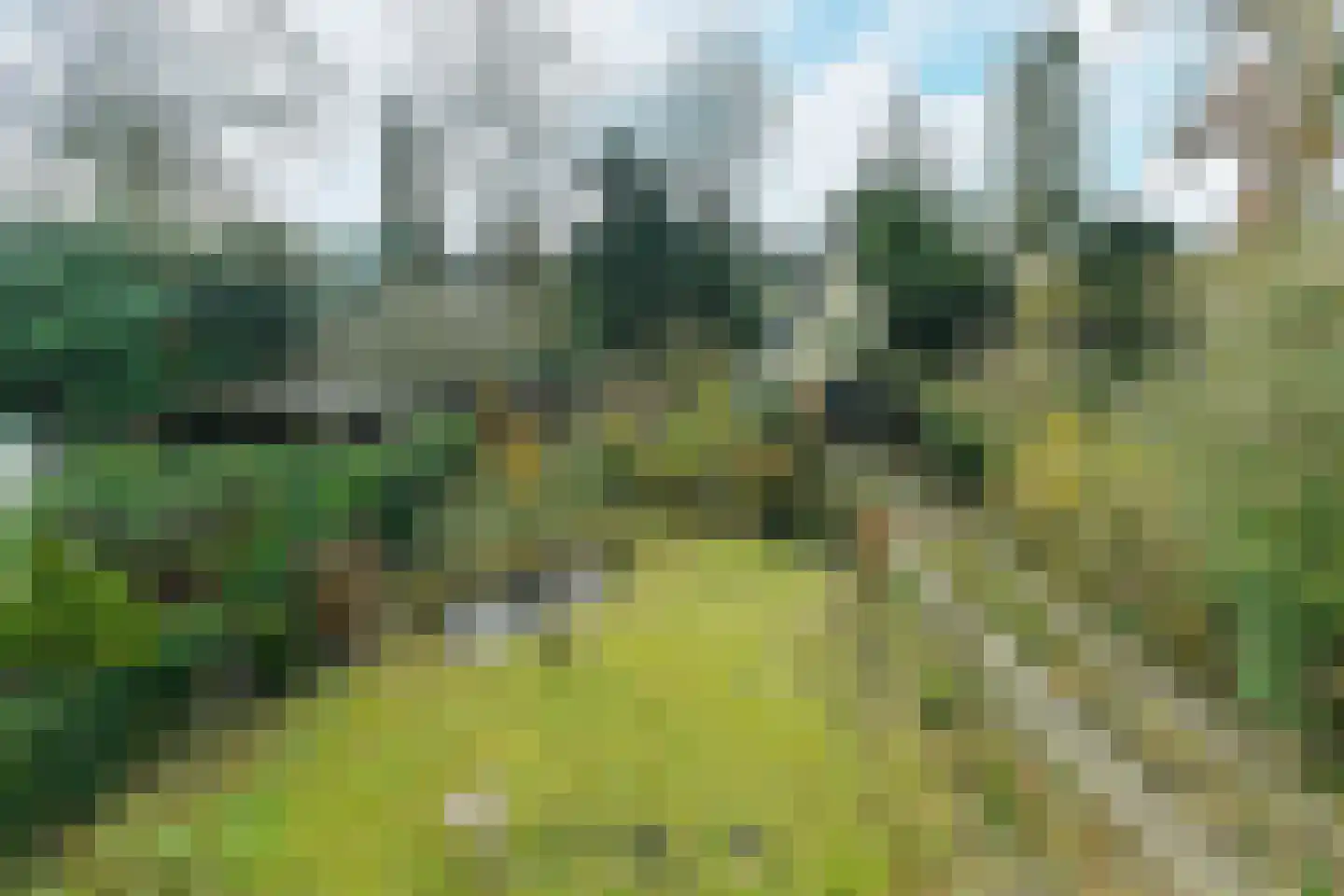 Beukenweg 11 Velp thumbnail 30