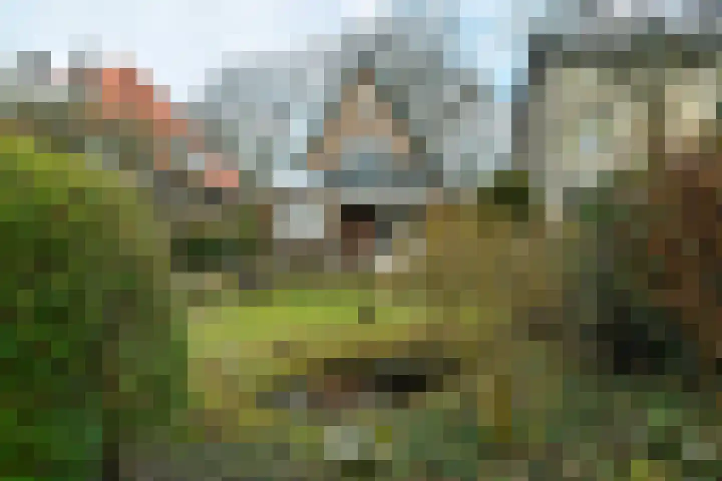 Beukenweg 11 Velp thumbnail 37