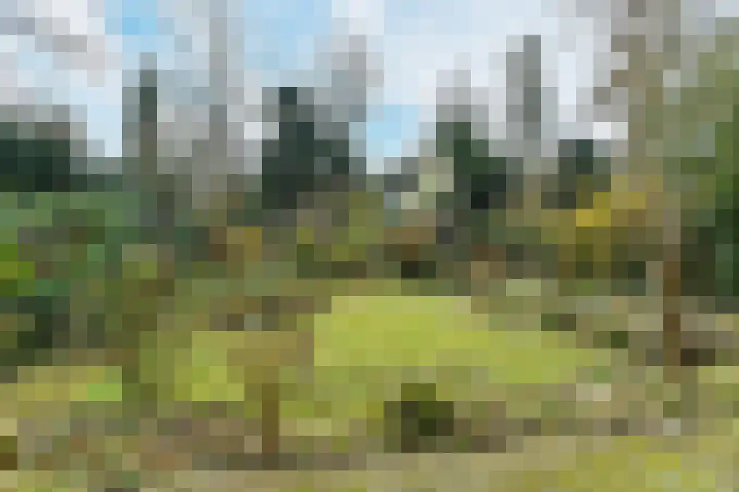 Beukenweg 11 Velp thumbnail 40