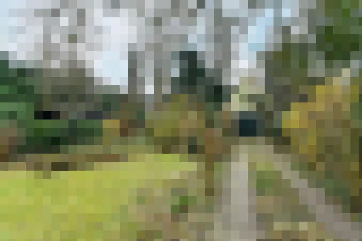 Beukenweg 11 Velp thumbnail 41