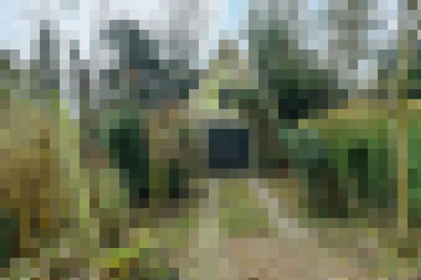 Beukenweg 11 Velp thumbnail 42