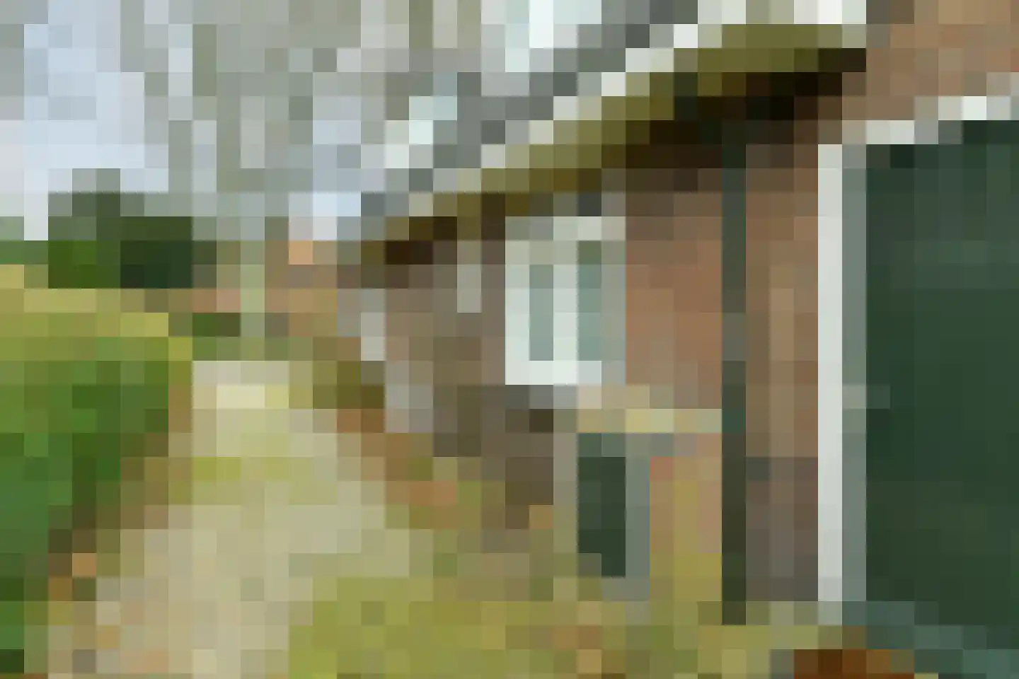 Beukenweg 11 Velp thumbnail 45