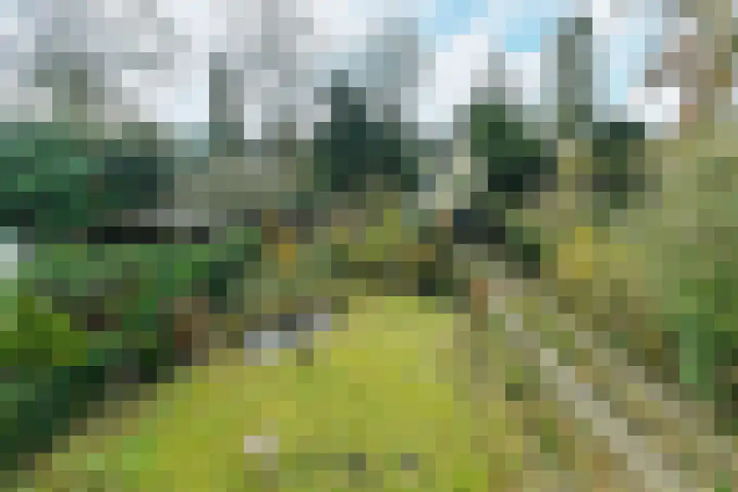 Beukenweg 11 Velp thumbnail 5