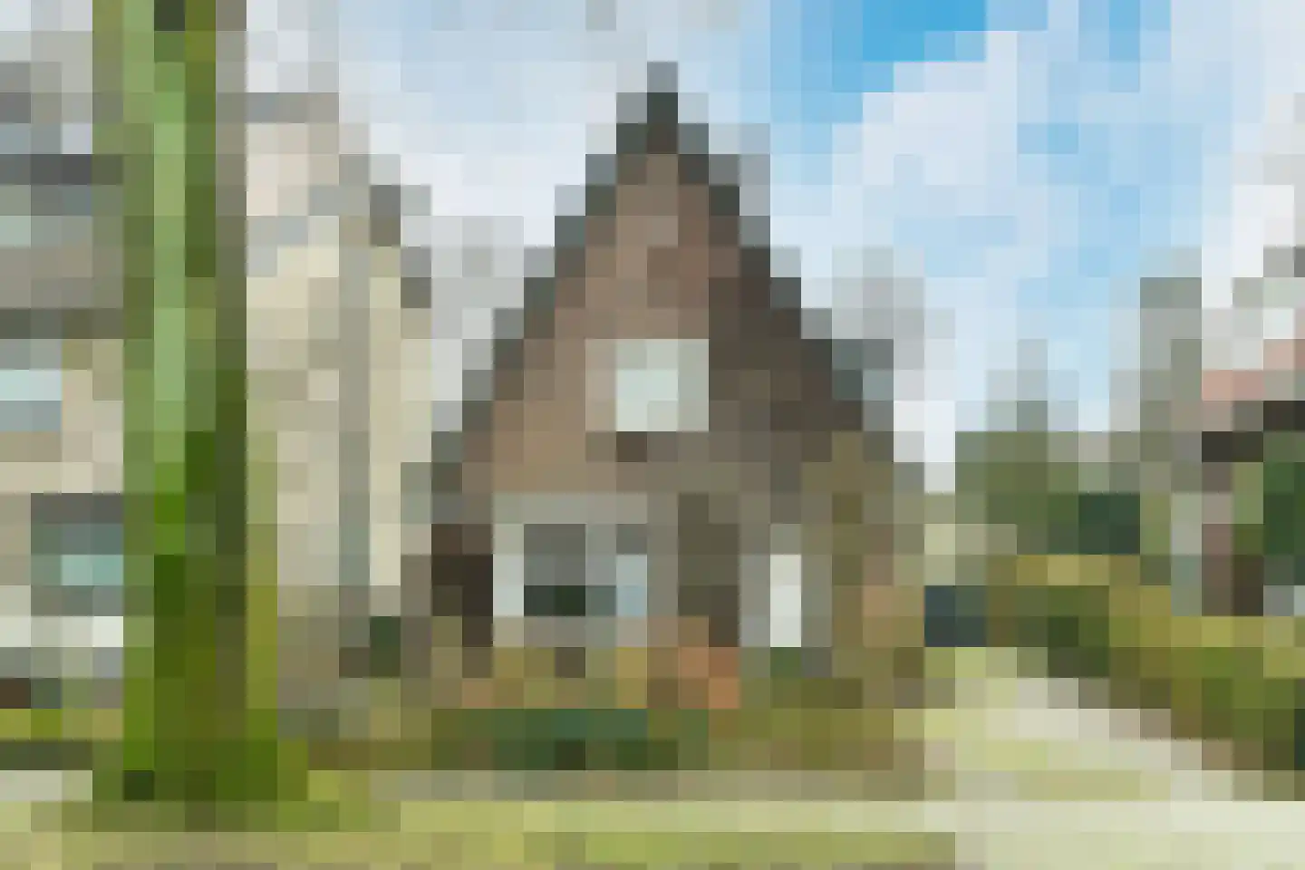 Beukenweg 11 Velp thumbnail 6