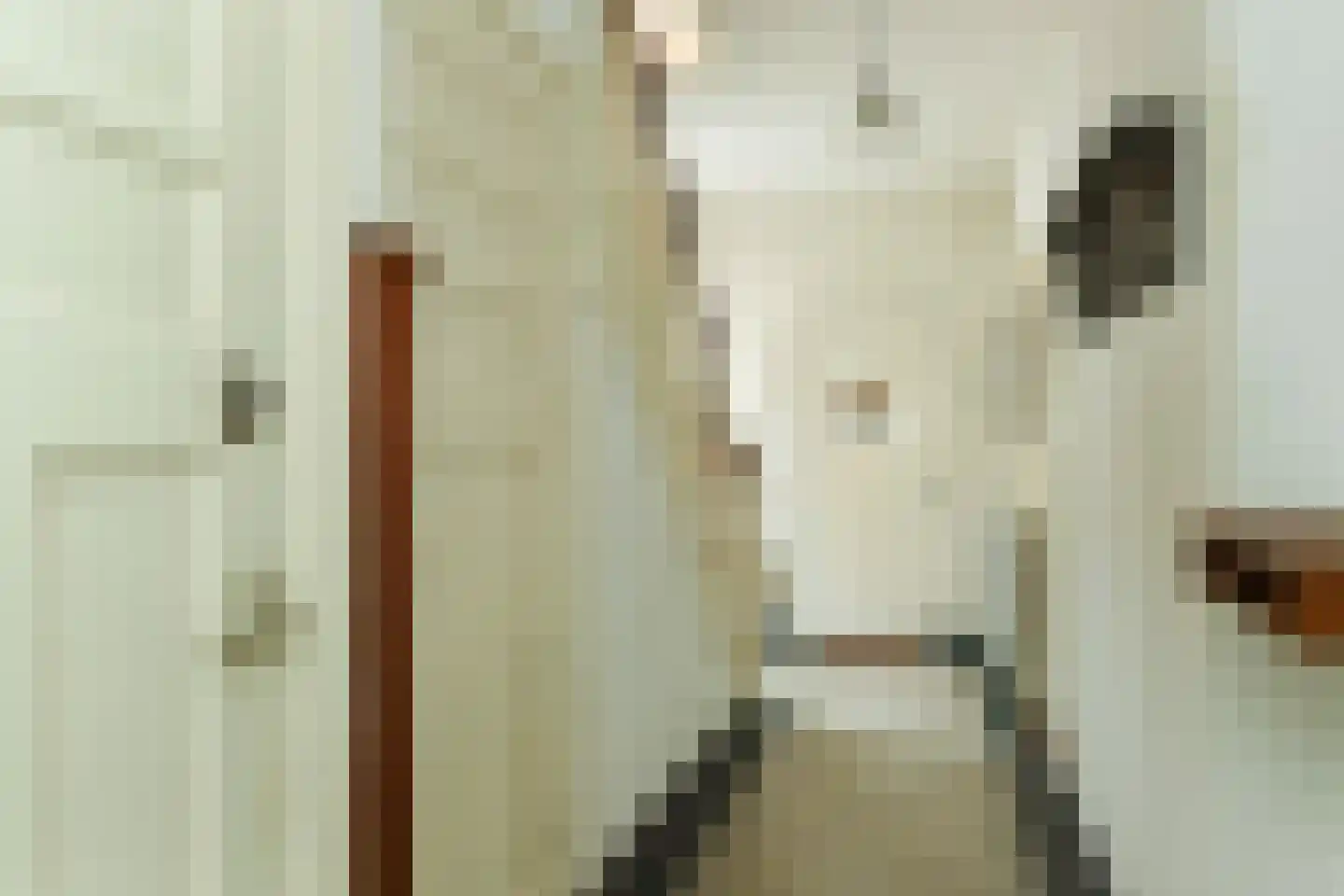 Beukenweg 11 Velp thumbnail 8