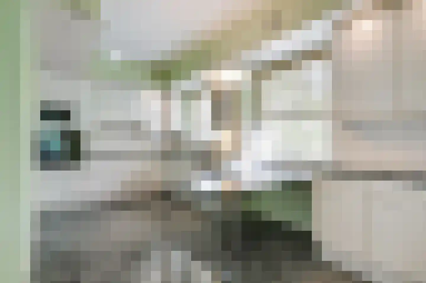 Beukenweg 2 e Velp thumbnail 18