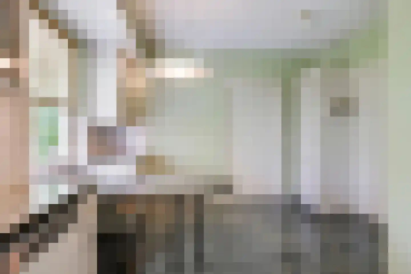 Beukenweg 2 e Velp thumbnail 19