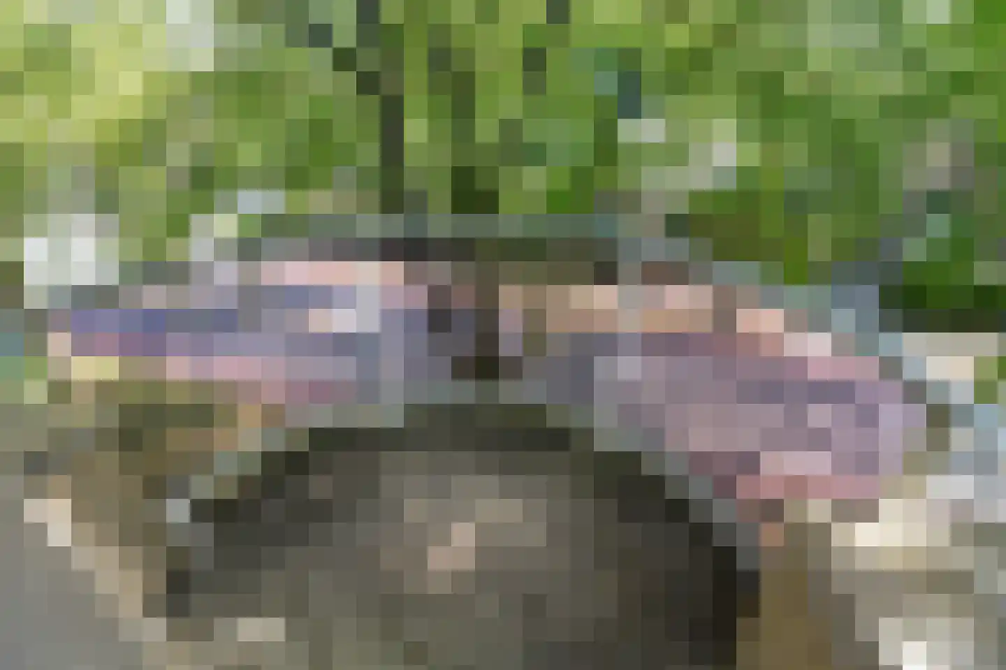 Beukenweg 2 e Velp thumbnail 25