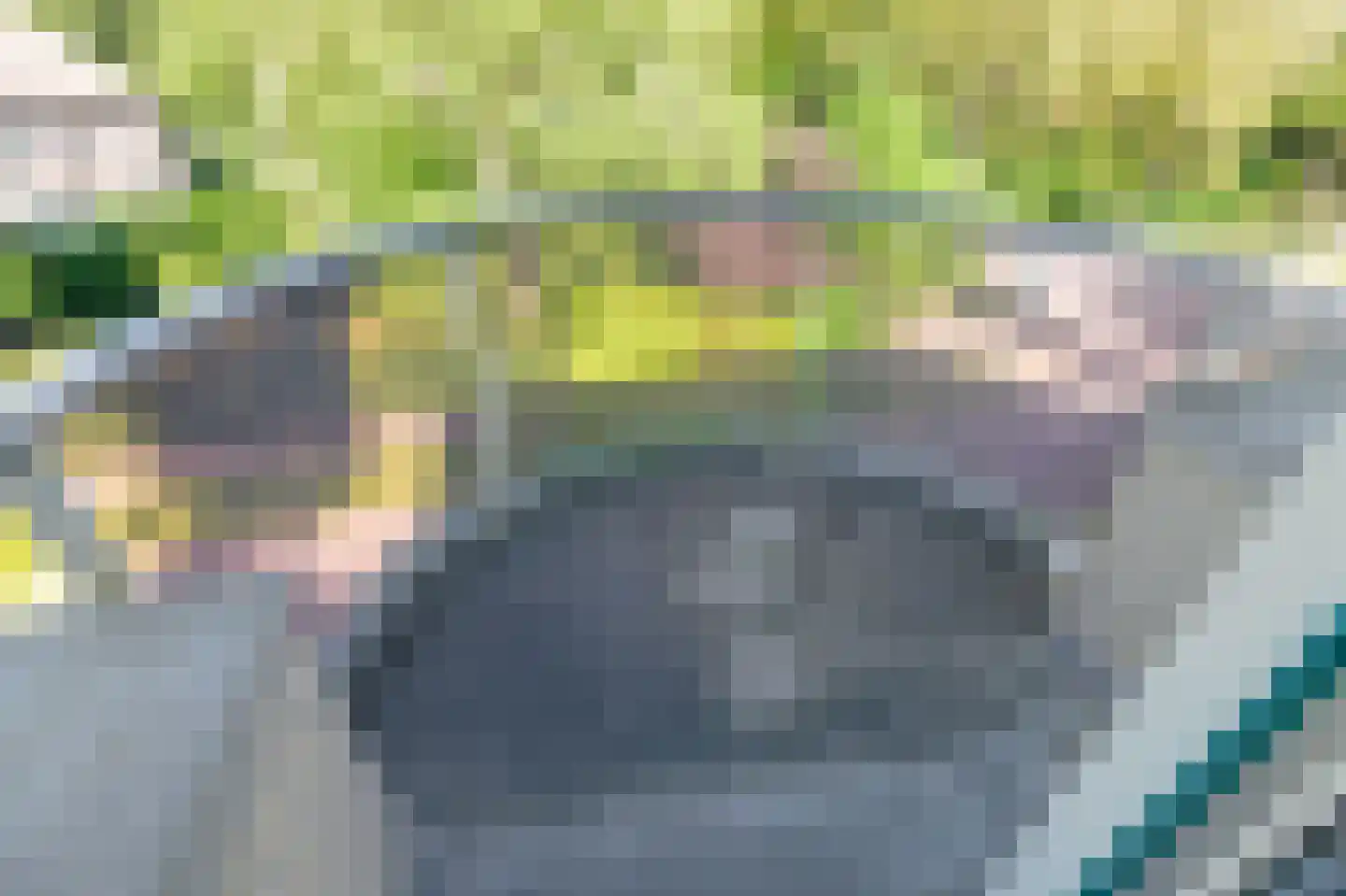 Beukenweg 2 e Velp thumbnail 33
