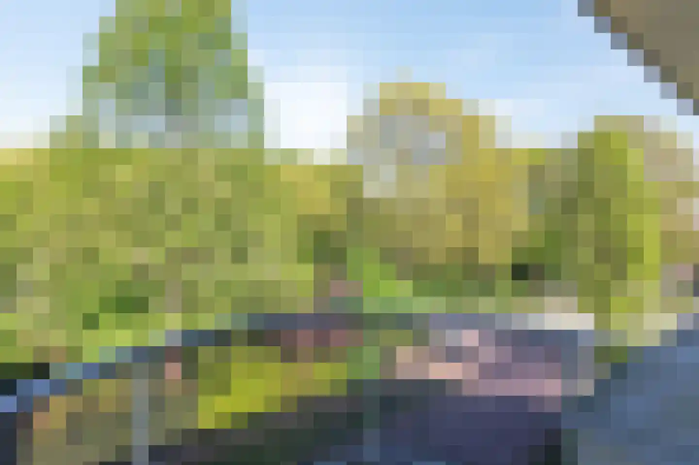 Beukenweg 2 e Velp thumbnail 34