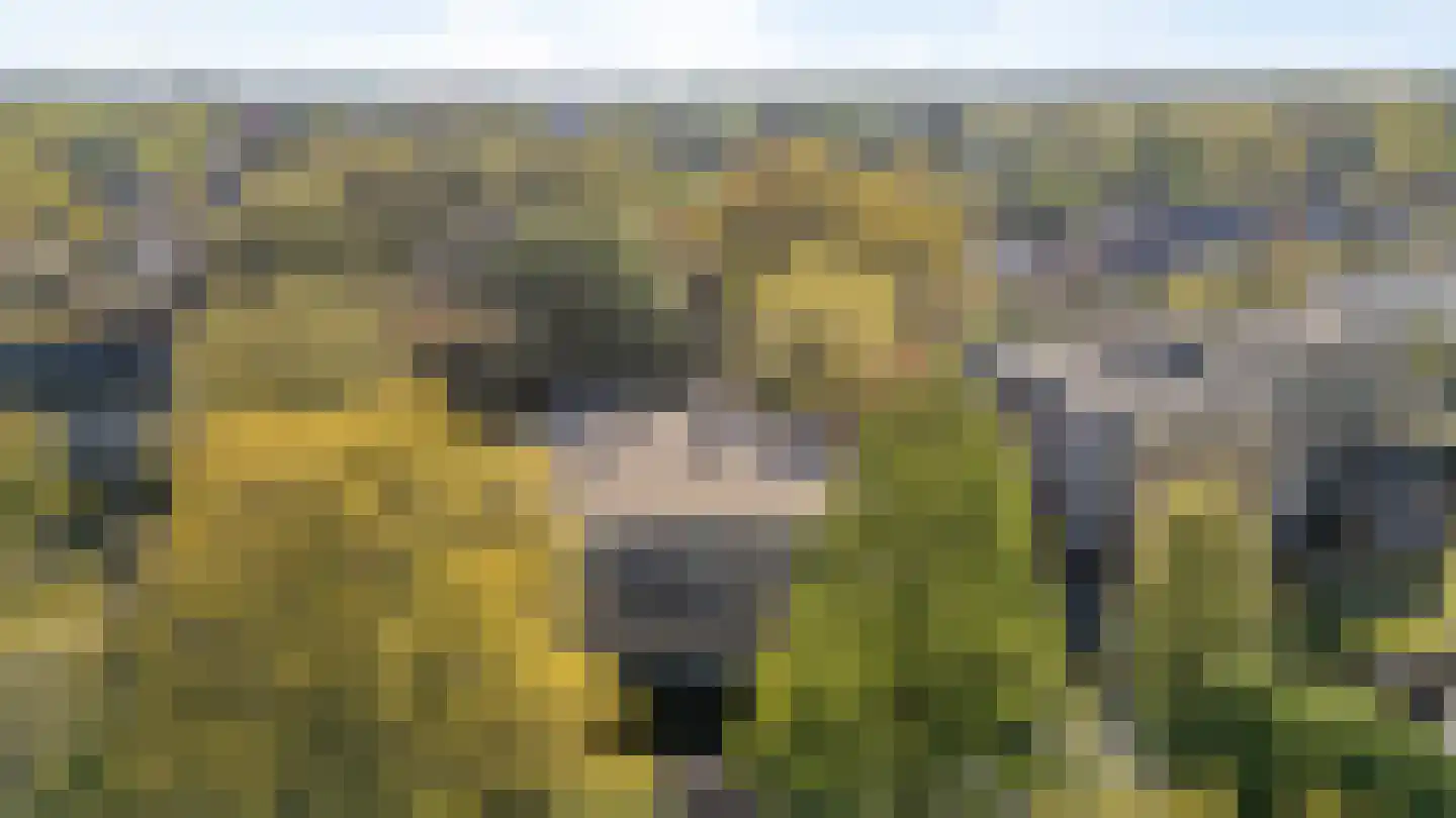 Beukenweg 2 e Velp thumbnail 48