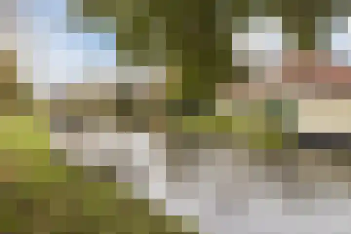Beukenweg 21 Wormerveer thumbnail 44