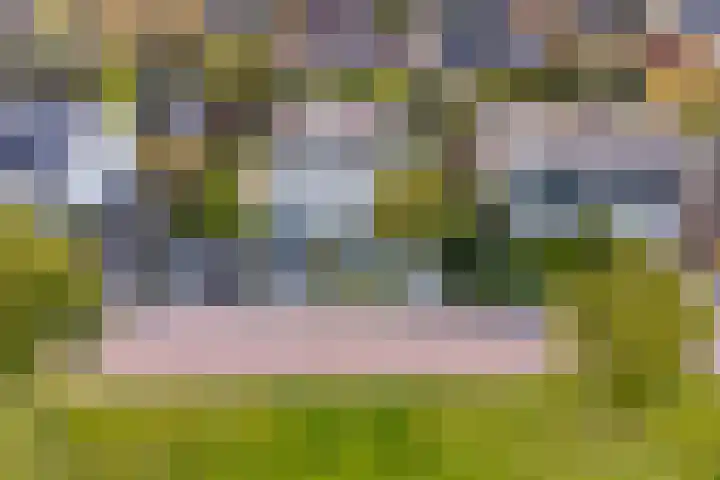 Beukenweg 5 Kampen thumbnail 10