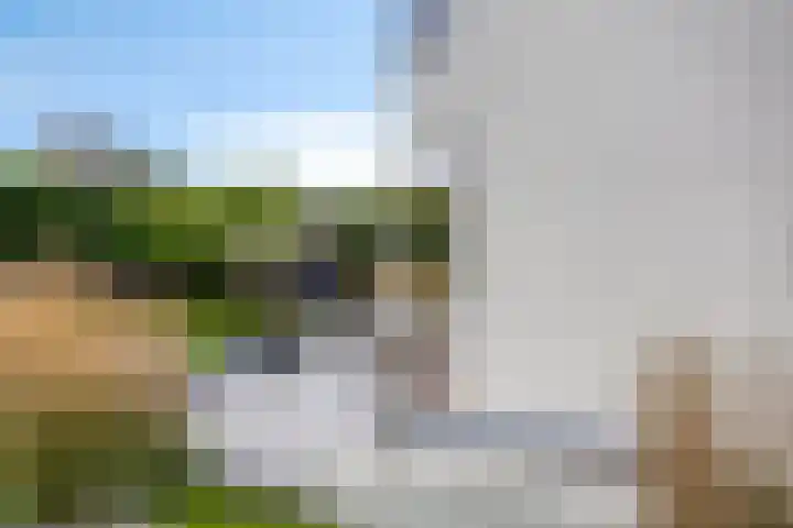 Beukenweg 5 Kampen thumbnail 100