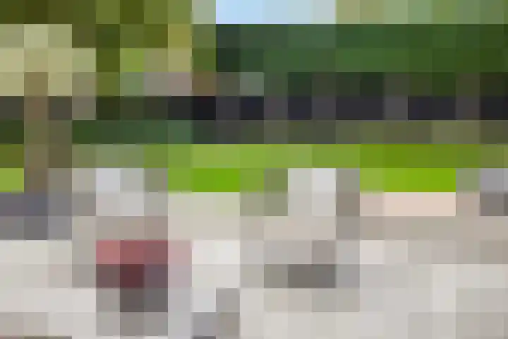 Beukenweg 5 Kampen thumbnail 102