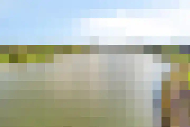 Beukenweg 5 Kampen thumbnail 108
