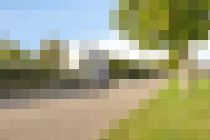 Beukenweg 5 Kampen thumbnail 11