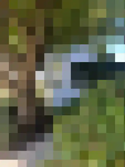 Beukenweg 5 Kampen thumbnail 15