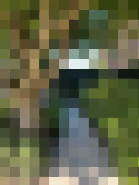 Beukenweg 5 Kampen thumbnail 20