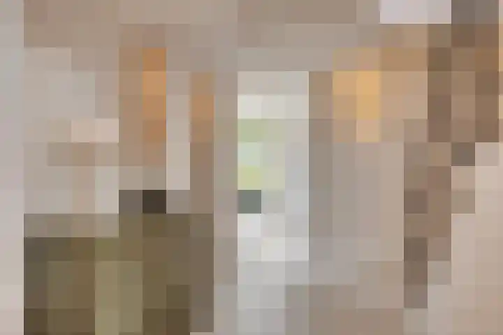 Beukenweg 5 Kampen thumbnail 22