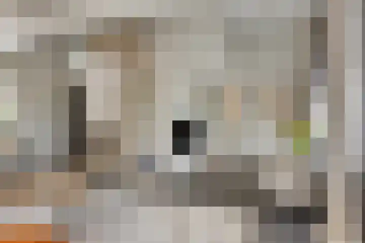 Beukenweg 5 Kampen thumbnail 33