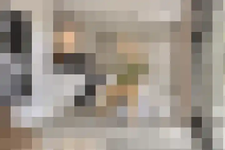 Beukenweg 5 Kampen thumbnail 36